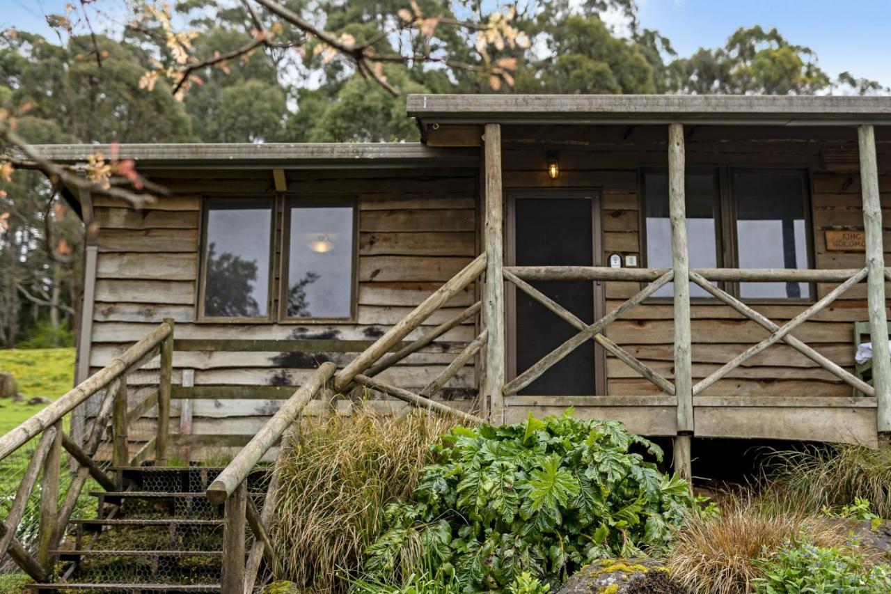 Mole Creek Cabins Exterior photo